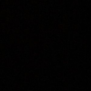 Meet your Posher, Shyla